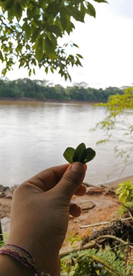 K'Erenda Homet Reserva Natural Puerto Maldonado Extérieur photo