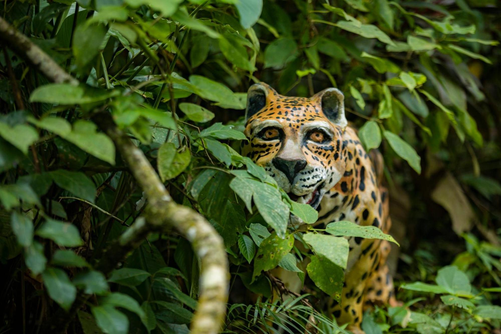 K'Erenda Homet Reserva Natural Puerto Maldonado Extérieur photo