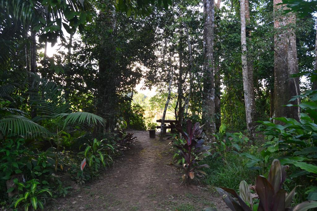 K'Erenda Homet Reserva Natural Puerto Maldonado Chambre photo