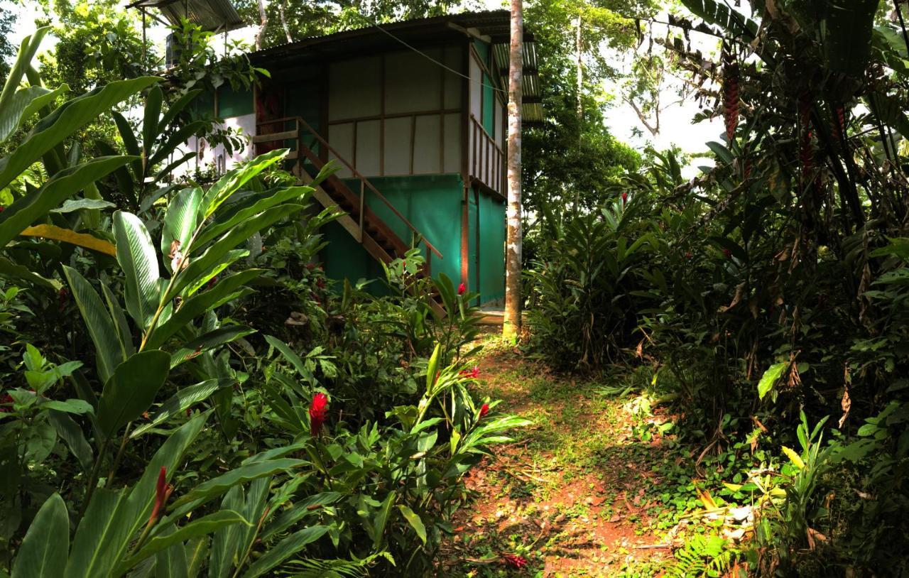 K'Erenda Homet Reserva Natural Puerto Maldonado Extérieur photo