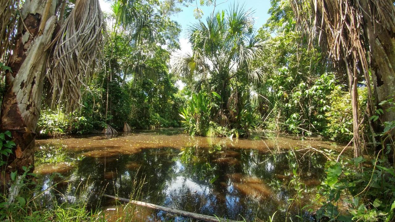 K'Erenda Homet Reserva Natural Puerto Maldonado Extérieur photo
